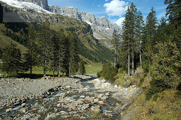 Europa Berg Bach Nadelbaum Schweiz
