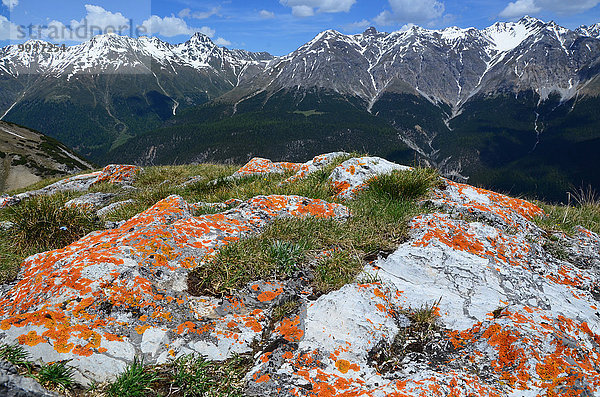 Nationalpark Felsbrocken Europa Steilküste Flechte Flechten Kanton Graubünden Schweiz