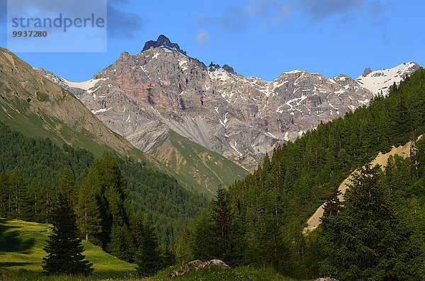 Nationalpark Europa Berg Berggipfel Gipfel Spitze Spitzen Kanton Graubünden Schweiz