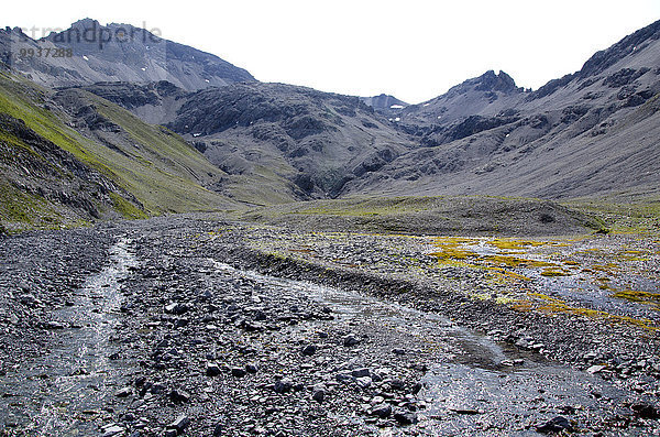 Nationalpark Europa Berg Bach Kanton Graubünden Schweiz