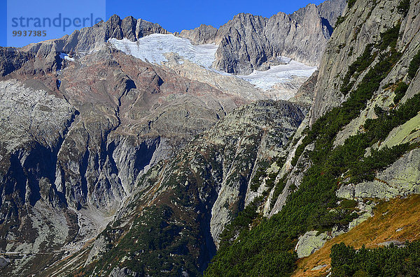 Europa Berg Gletscher Berner Oberland Kanton Bern Schweiz