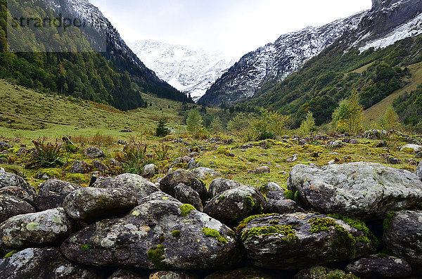 Steinmauer Europa Berg Tal Herbst Wiese Berner Oberland Kanton Bern Schnee Schweiz