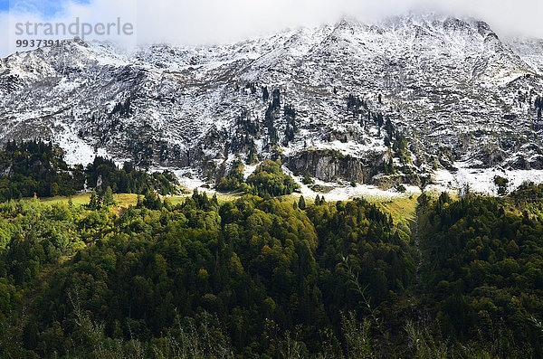 Europa Berg Tal Herbst Berner Oberland Kanton Bern Schnee Schweiz