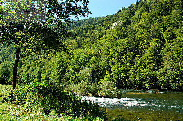 Frankreich Europa Wald fließen Fluss Holz Wildwasser Grenze Schweiz