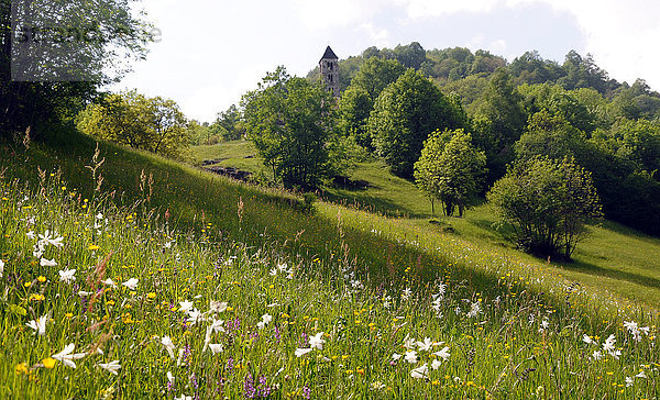 Blumenwiese Europa Kirche Kirchturm Wiese Schweiz
