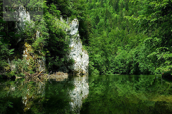 Felsbrocken Europa Spiegelung Sommer Steilküste fließen Fluss Türschwelle Schlucht Spiegel Schweiz