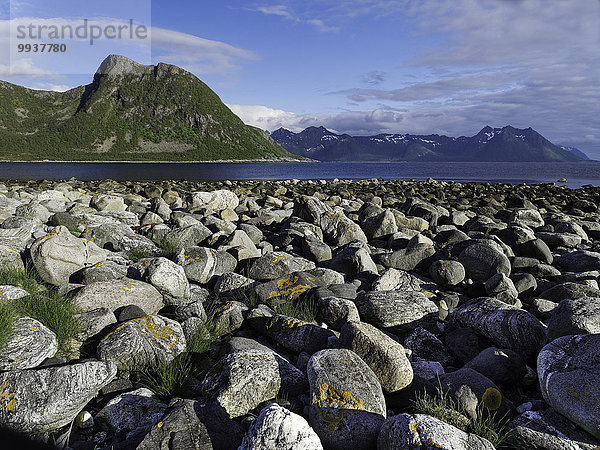Wasserrand Landschaftlich schön landschaftlich reizvoll Europa Stein Himmel Landschaft Küste Meer Norwegen blau Bucht Fjord Nordsee Skandinavien Troms