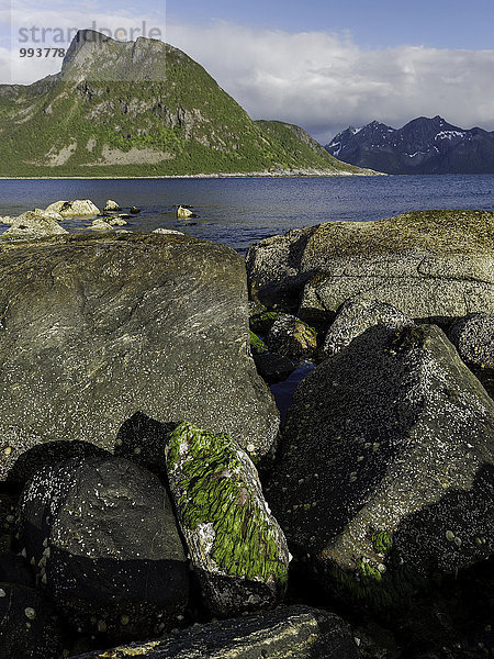 Felsbrocken Landschaftlich schön landschaftlich reizvoll Europa Berg Landschaft Steilküste Küste Meer Norwegen Alge Fjord Nordsee Skandinavien Troms