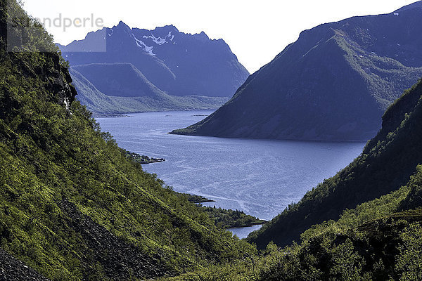 Landschaftlich schön landschaftlich reizvoll Europa Berg Landschaft Küste Natur Norwegen Steilwand Bucht Fjord Troms