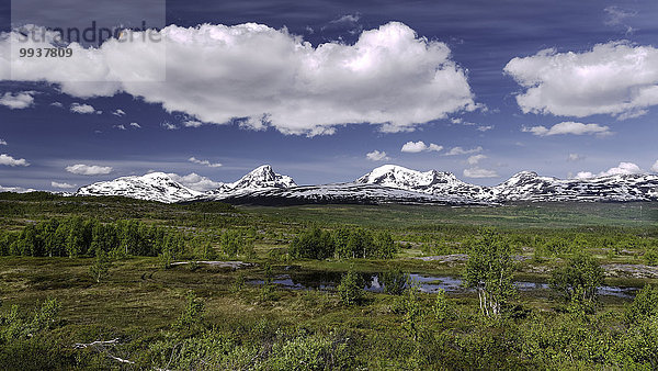 Gebirge Landschaftlich schön landschaftlich reizvoll Europa Berg Wolke Himmel Landschaft Wald See Natur Holz Norwegen Sumpf Moor Gebirgszug Skandinavien Taiga Troms