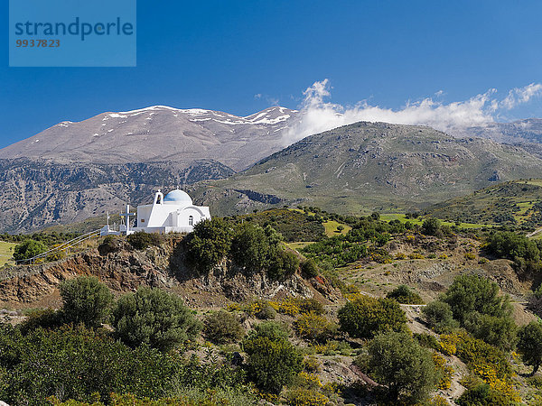 Olivenbaum Echter Ölbaum Olea europaea Landschaftlich schön landschaftlich reizvoll Europa Berg Berggipfel Gipfel Spitze Spitzen Landschaft Kirche Christentum Olive Olivenhain russisch orthodox russisch-orthodox Kreta Griechenland griechisch orthodox griechisch-orthodox Hain