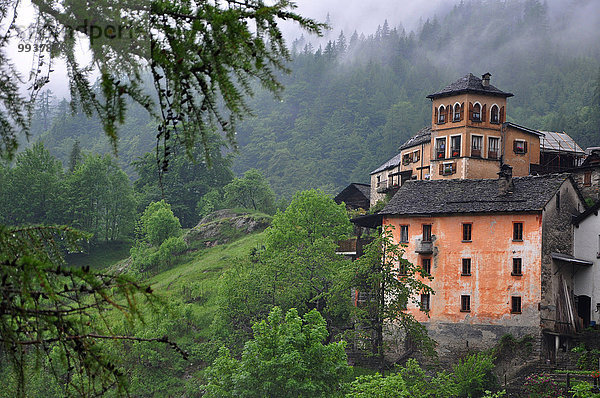 Berg Wolke Baum klein grün Dorf Schweiz