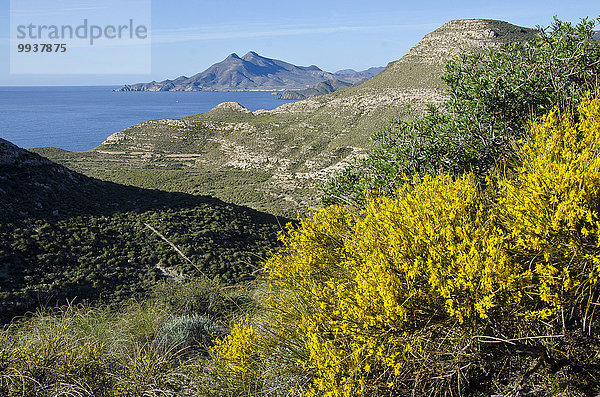 Naturschutzgebiet Besen Steilküste Küste Almeria Mittelmeer Spanien