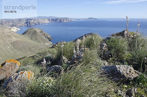 Naturschutzgebiet Steilküste Küste Almeria Mittelmeer Spanien