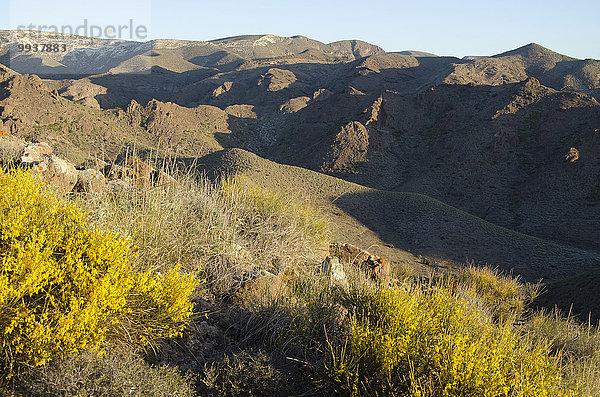 Naturschutzgebiet Besen Berg Morgen Vulkan Almeria Spanien Steppe