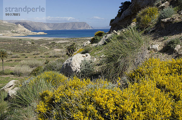 Naturschutzgebiet Besen Küste Almeria Bucht Mittelmeer Spanien
