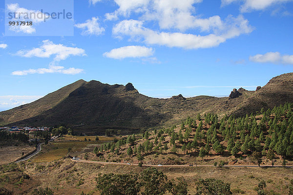 Landschaftlich schön landschaftlich reizvoll Europa Straße Kanaren Kanarische Inseln Schotterstrasse Spanien Teneriffa