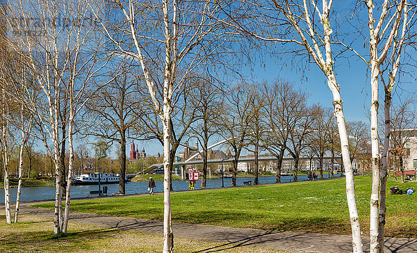 Europa Baum Großstadt Dorf Feld Wiese Niederlande Maastricht