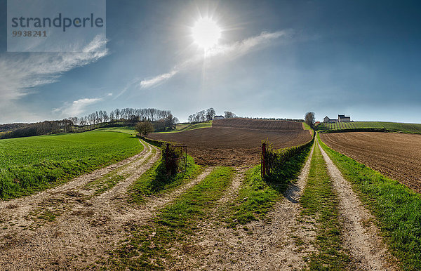 Bauernhaus Europa Berg Baum Landschaft Hügel Feld Wiese Niederlande Maastricht