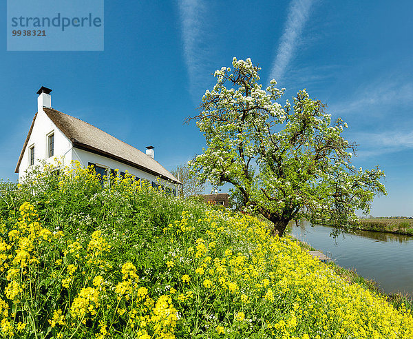 Wasser Europa Blume Wohnhaus Gebäude Fluss Niederlande