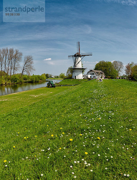 Wasser Europa Feld Wiese Niederlande Windmühle