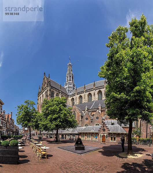 Europa Sommer Baum Wald Kirche Holz Niederlande Haarlem Kloster