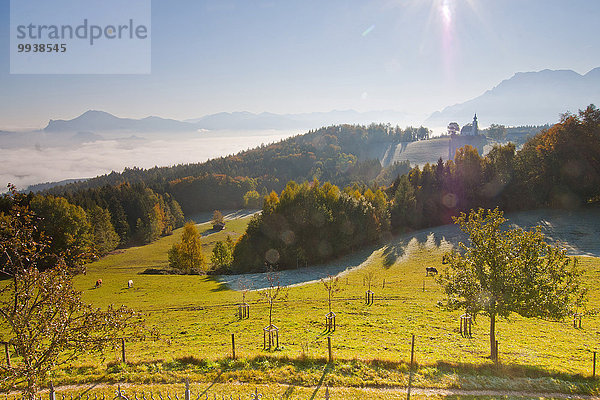 Ländliches Motiv ländliche Motive Landschaftlich schön landschaftlich reizvoll Europa Herbst Wiese Landwirtschaft Bayern Berchtesgaden Deutschland Oberbayern