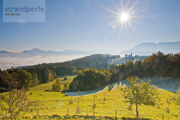 Ländliches Motiv ländliche Motive Landschaftlich schön landschaftlich reizvoll Europa Herbst Wiese Landwirtschaft Bayern Berchtesgaden Deutschland Oberbayern