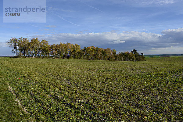 Feuerwehr Frankreich Wolke Holz Feld Herbst Champagner Marne