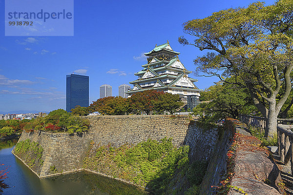 Wand Palast Schloß Schlösser Landschaft niemand Reise Spiegelung Großstadt Architektur Geschichte Festung bunt Herbst Tourismus Asien Japan Osaka Teich