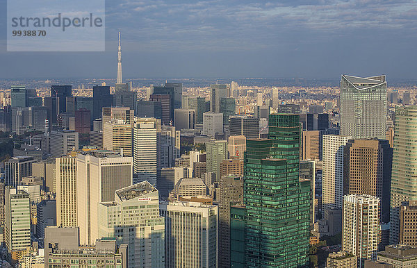Panorama Skyline Skylines Landschaft niemand Reise Großstadt Tokyo Hauptstadt Architektur Turm bunt Hochhaus Mittelpunkt Tourismus Asien Innenstadt Japan Metropole
