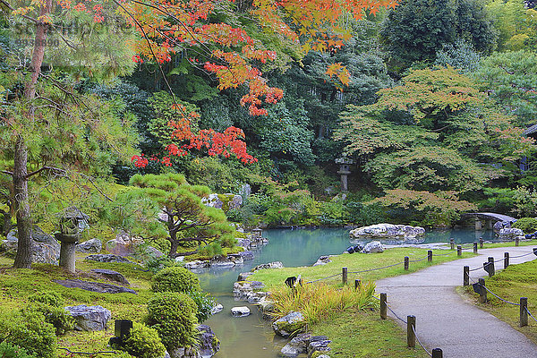 niedlich süß lieb Landschaft Weg grün niemand Reise Architektur bunt Natur Garten Tourismus Tempel Asien Japan japanisch Kyoto Teich