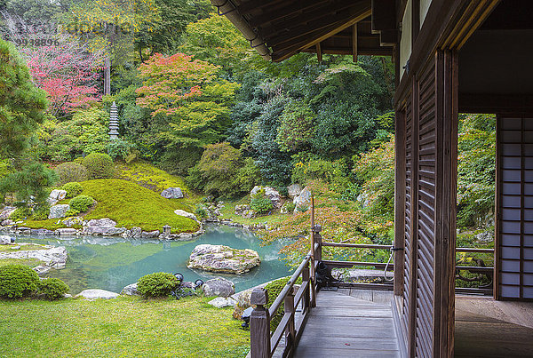 niedlich süß lieb Landschaft grün niemand Reise Architektur bunt Natur Garten Tourismus Tempel Asien Japan japanisch Kyoto Teich