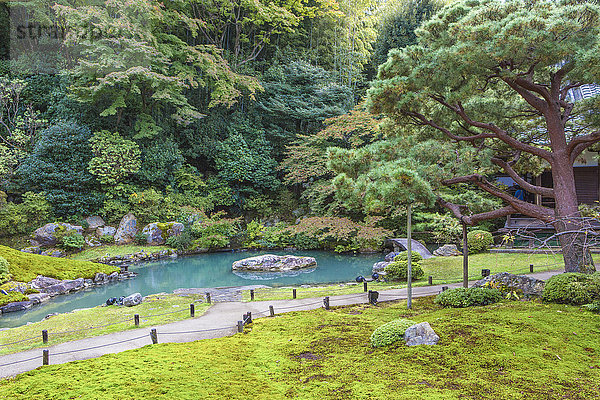 niedlich süß lieb Landschaft Weg grün niemand Reise Architektur bunt Natur Garten Tourismus Tempel Asien Japan japanisch Kyoto Teich