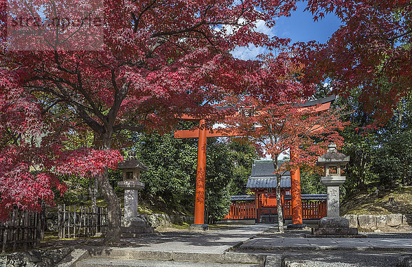 Landschaft niemand Reise Eingang rot Tourismus Asien Japan japanisch Kyoto