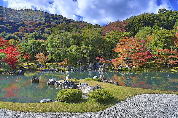 Landschaft niemand Reise Garten Herbst Eingang rot Tourismus Asien Laub Japan japanisch Kyoto Teich