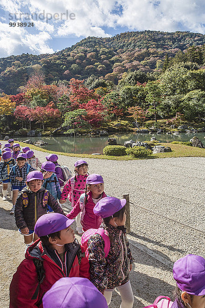 Landschaft niemand Reise lila Garten Herbst Eingang rot Tourismus Asien Laub Japan japanisch Kyoto Teich