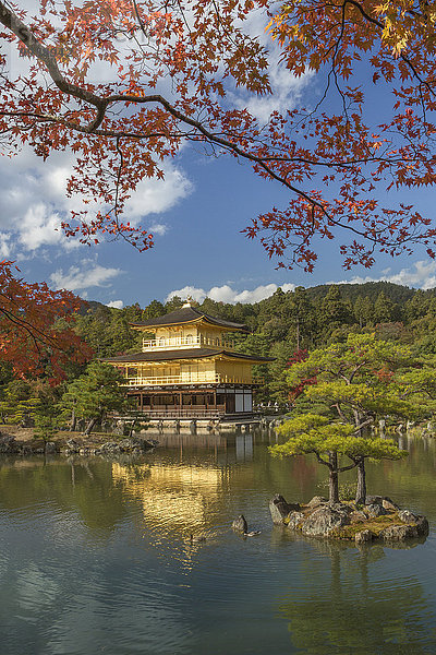 Landschaft niemand Reise Spiegelung Architektur Wahrzeichen bunt Gold Tourismus UNESCO-Welterbe Tempel Asien Japan Kyoto Teich