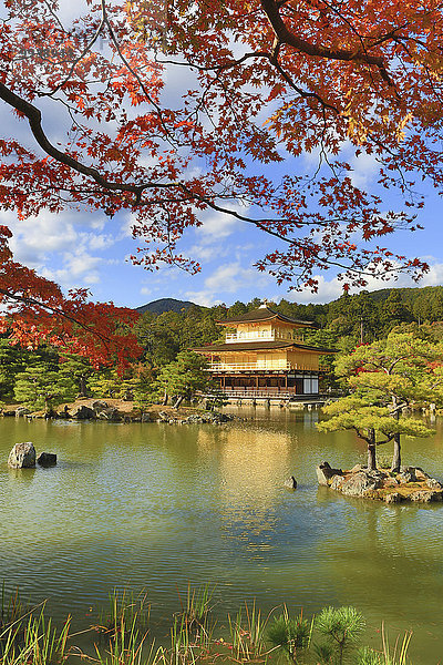 Landschaft niemand Reise Spiegelung Architektur Wahrzeichen bunt Gold Tourismus UNESCO-Welterbe Tempel Asien Japan Kyoto Teich
