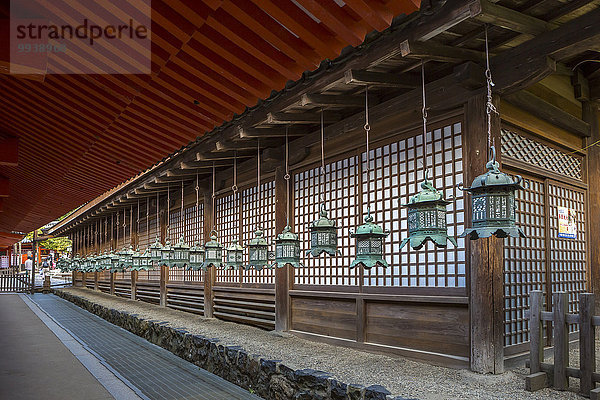 niemand Reise Großstadt Architektur Geschichte bunt Laterne - Beleuchtungskörper Tourismus UNESCO-Welterbe Asien Japan Nara Schrein