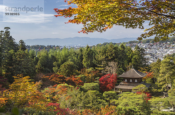 Wohnhaus Landschaft niemand Reise Architektur bunt Garten Herbst Tourismus UNESCO-Welterbe Asien Japan japanisch Kyoto