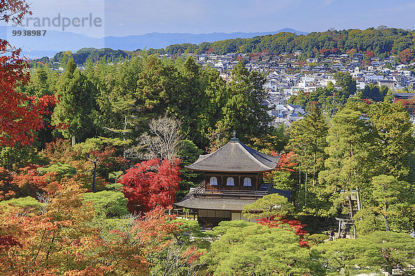 Wohnhaus Landschaft niemand Reise Architektur bunt Garten Herbst Tourismus UNESCO-Welterbe Asien Japan japanisch Kyoto