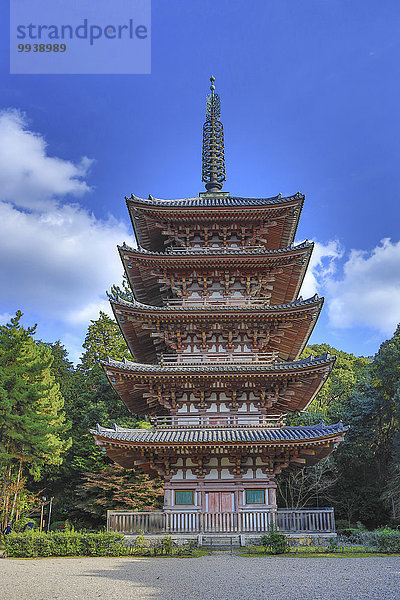 Skyline Skylines Landschaft niemand Reise Architektur bunt Tourismus Asien Japan japanisch Kyoto Pagode