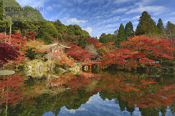 Landschaft niemand Reise Spiegelung bunt Garten rot Tourismus Asien Japan japanisch Kyoto Teich