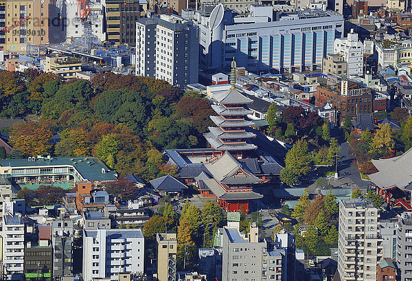 niemand Reise Großstadt Tokyo Hauptstadt Architektur bunt Herbst Tourismus Fernsehantenne Asakusa Asien Ortsteil Japan Kanto Pagode