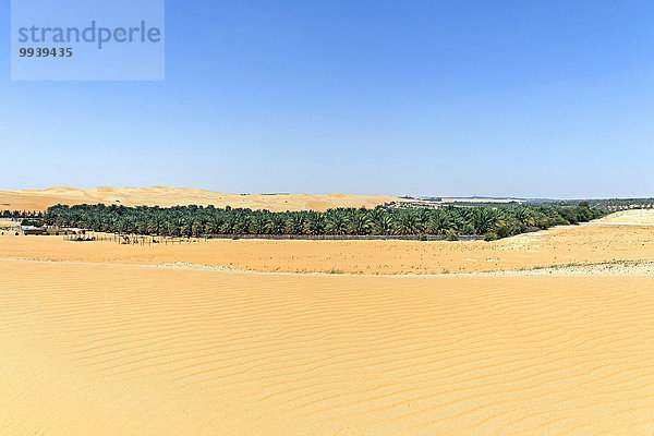 Abu Dhabi Hauptstadt Panorama Landschaftlich schön landschaftlich reizvoll Vereinigte Arabische Emirate VAE Berg Verbindung Tradition Baum Landschaft Wüste Pflanze Sand Düne Asien Oase Tourismus