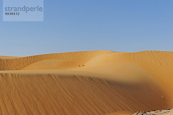 Abu Dhabi Hauptstadt Panorama Landschaftlich schön landschaftlich reizvoll Vereinigte Arabische Emirate VAE Berg Verbindung Landschaft Wüste Sand Düne Asien Tourismus