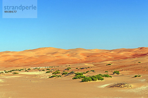 Abu Dhabi Hauptstadt Panorama Landschaftlich schön landschaftlich reizvoll Vereinigte Arabische Emirate VAE Berg Verbindung Landschaft Wüste Pflanze Sand Düne Asien Tourismus