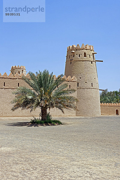 Abu Dhabi Hauptstadt Detail Details Ausschnitt Ausschnitte bauen Vereinigte Arabische Emirate VAE Wand Tradition Palast Schloß Schlösser Baum Gebäude Architektur Geschichte Turm Pflanze Museum Festung Al-Ain Asien alt Tourismus