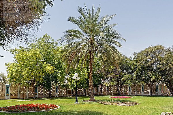 Abu Dhabi Hauptstadt Vereinigte Arabische Emirate VAE Blume Tradition Baum Pflanze Museum Garten Laterne - Beleuchtungskörper Zaun Al-Ain Asien Tourismus